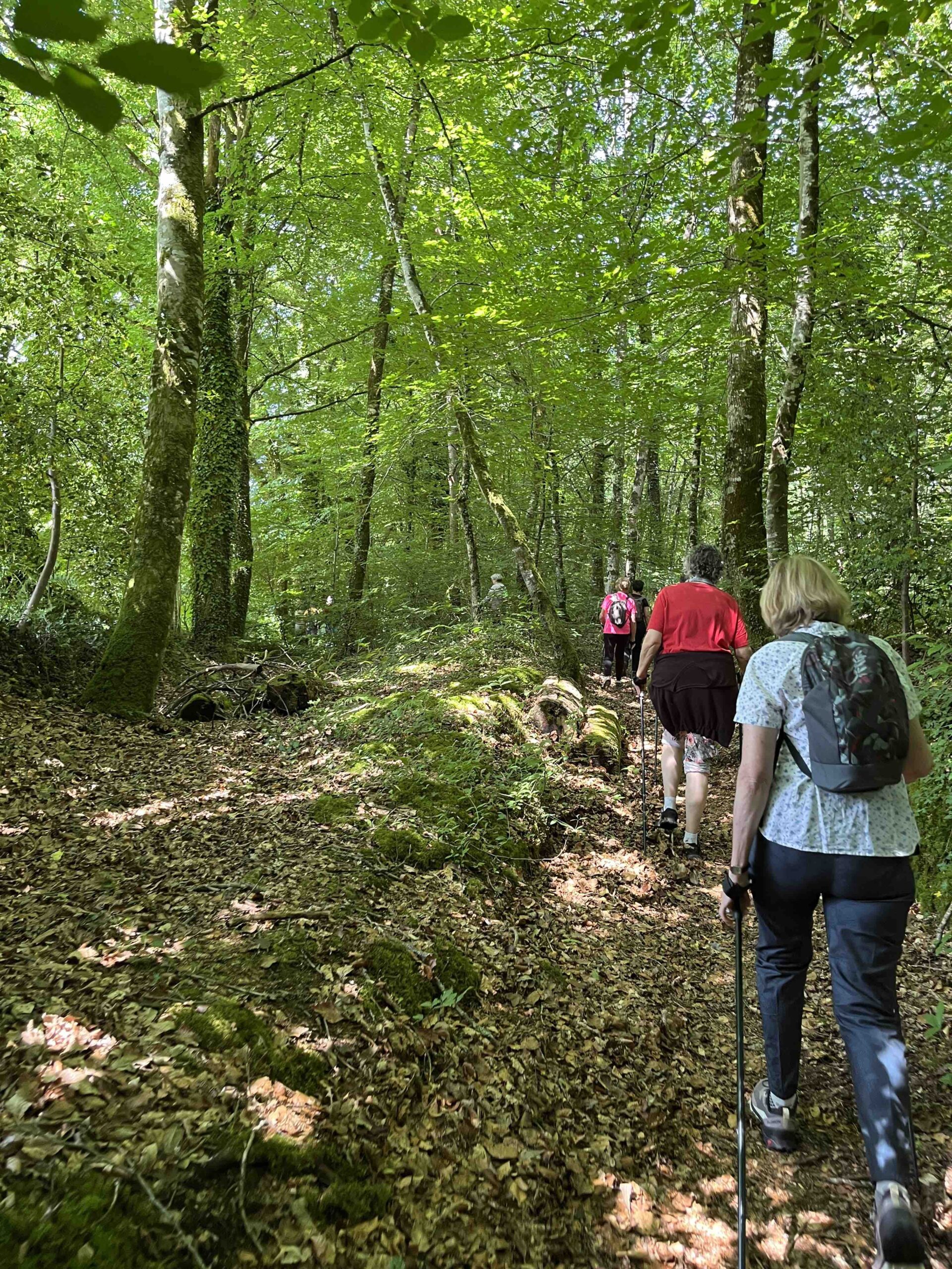 Sejour sport sante nature-juin 2025-marche nordique 1