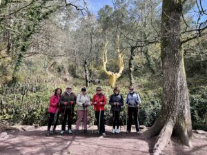 Marche nordique en forêt de brocéliande