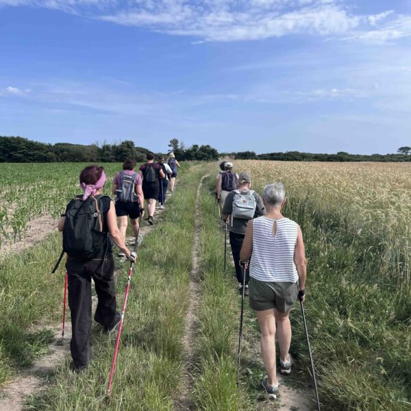 Marcheurs nordique de dos dans les champs
