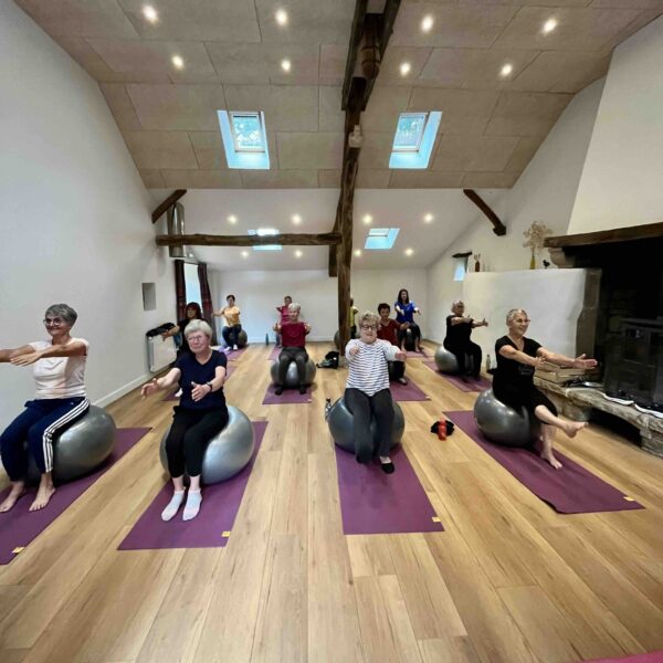 Séance de gym avec swiss ball en salle