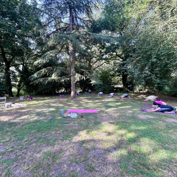 Séance de stretching en plein air à Lizio