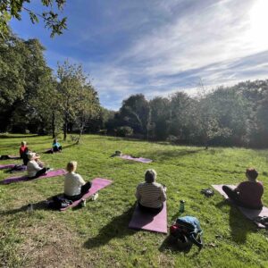 Séance de pilates dans une prairie verte