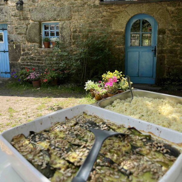Gratin de courgettes
