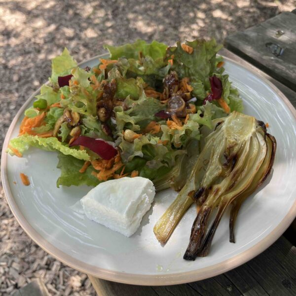 Salade chèvre frais et fenouilh braisé
